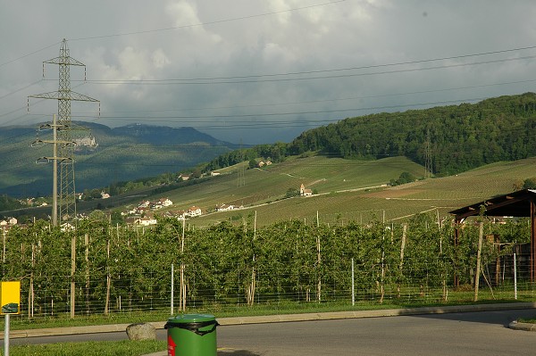 CERN