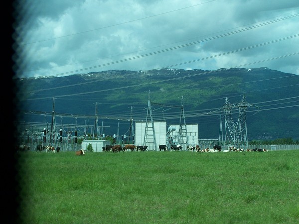 CERN