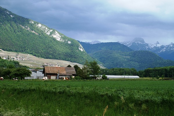 CERN